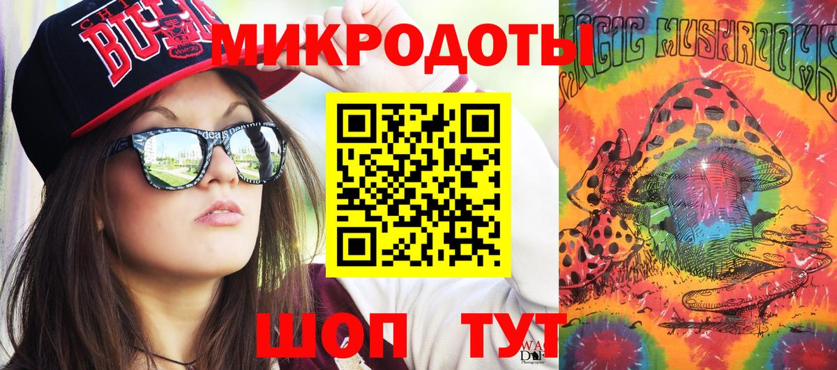Псилоцибиновые грибы Psilocybe Зерноград
