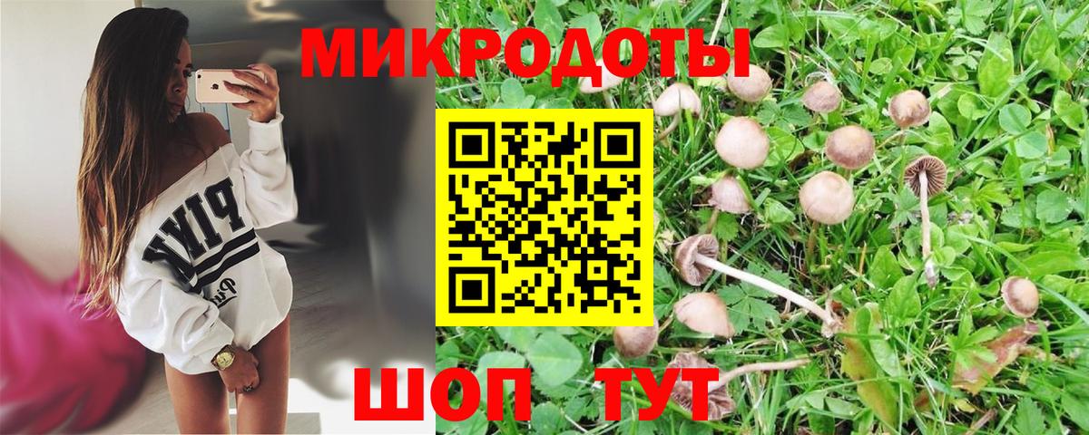 Псилоцибиновые грибы Psilocybe  Псилоцибиновые грибы Psilocybe  Зерноград  Вход с VPN 